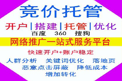 案例解析：SEM助力电商行业快速发展